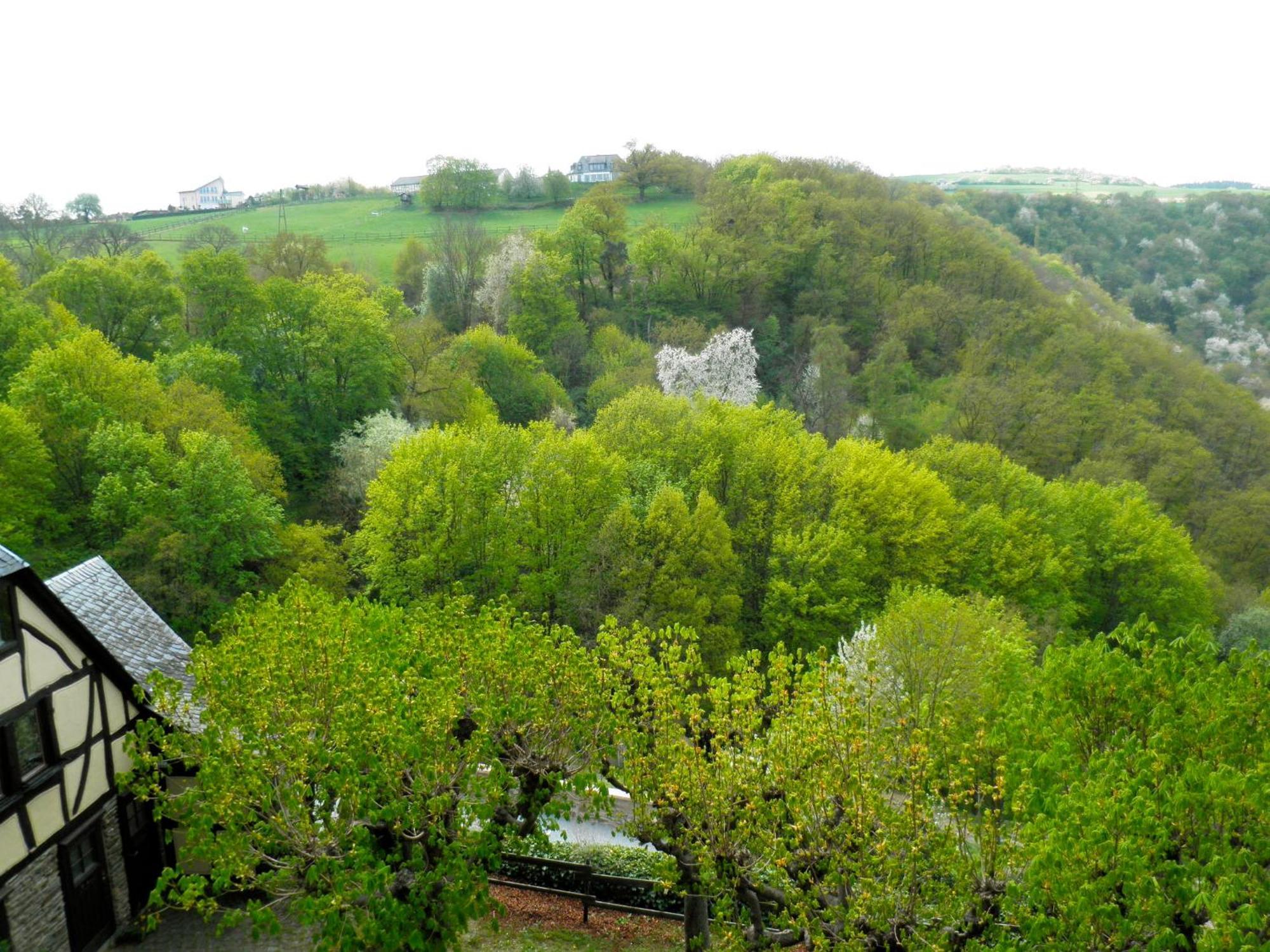 אוברווסל Burghotel Auf Schoenburg חדר תמונה